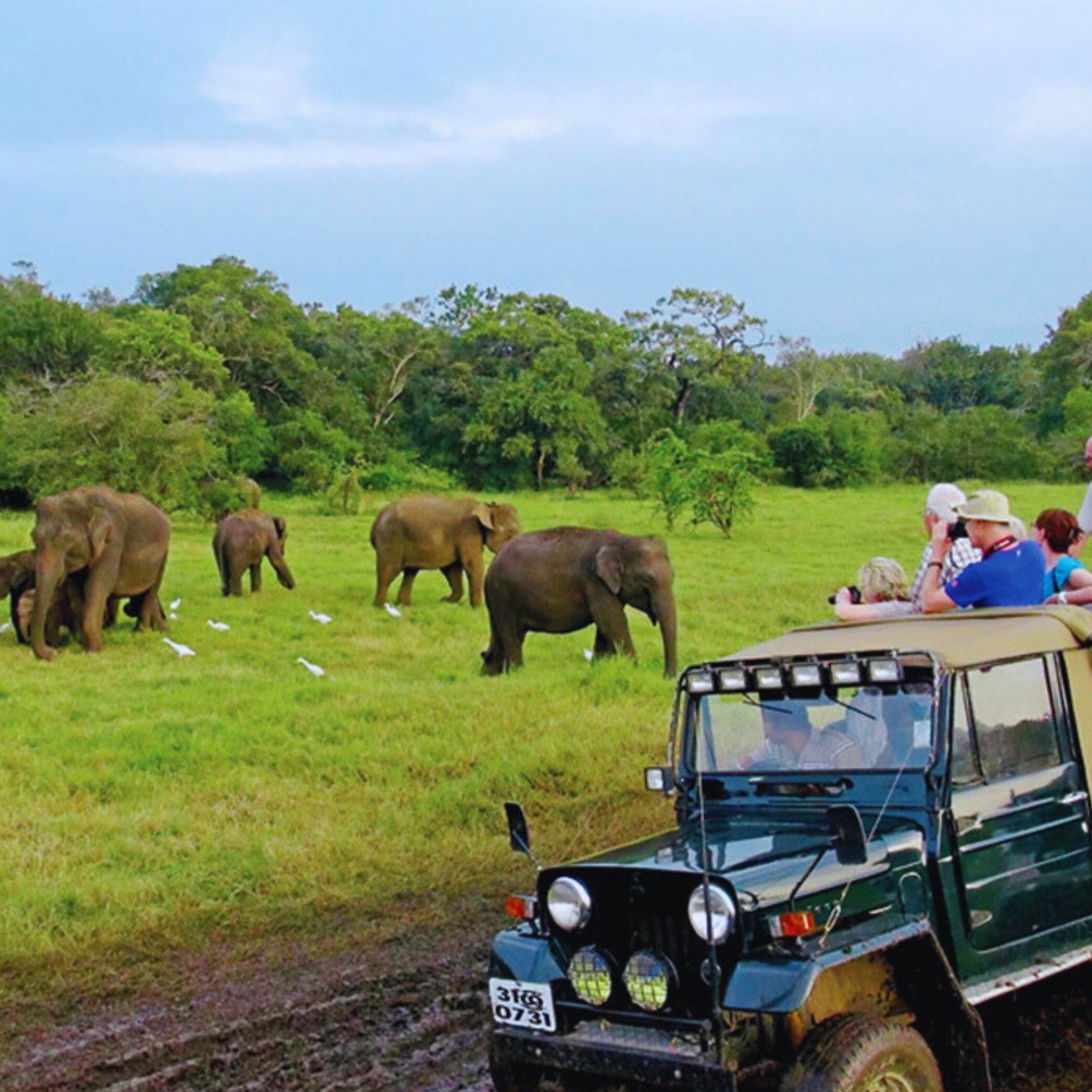 Jeep Safari