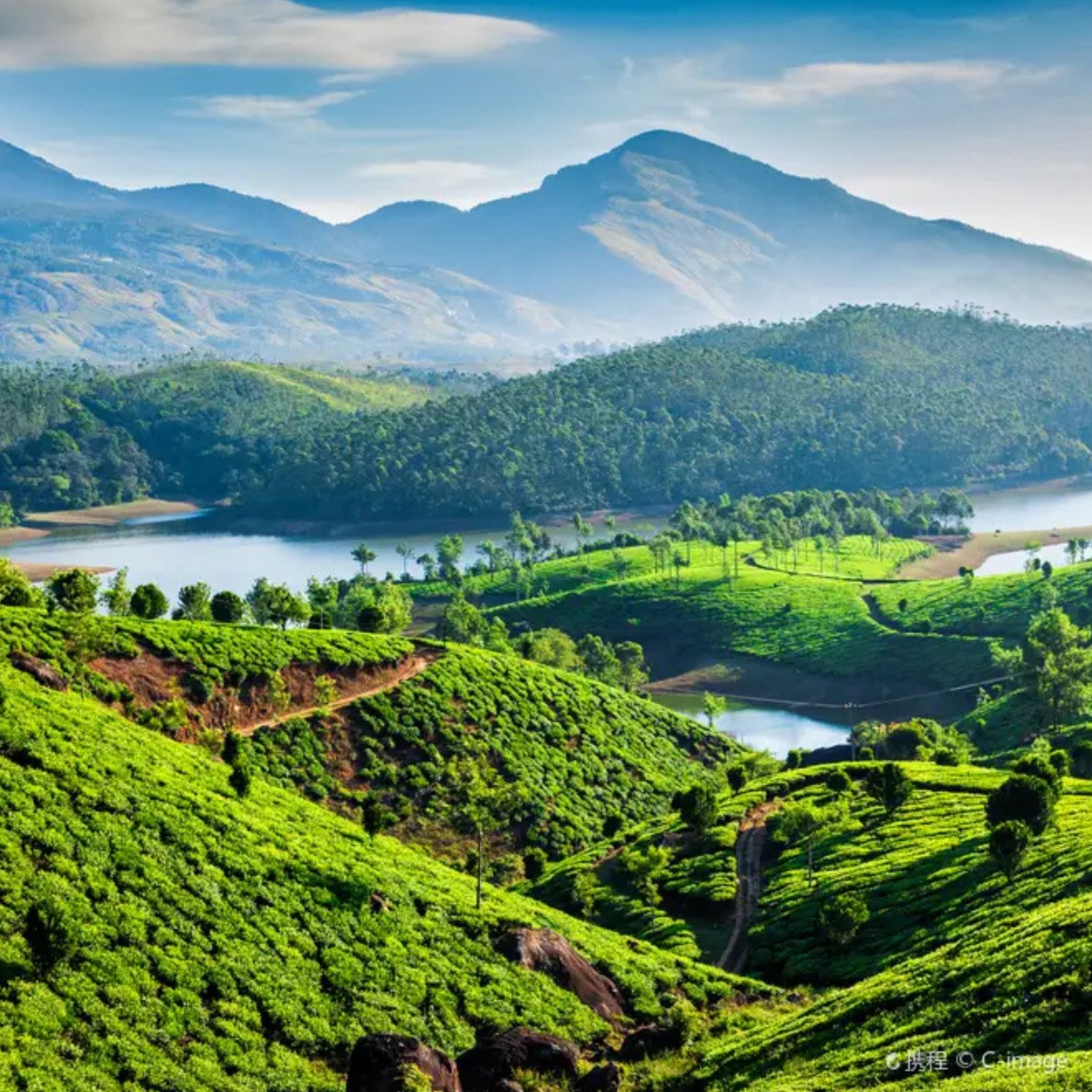 Munnar