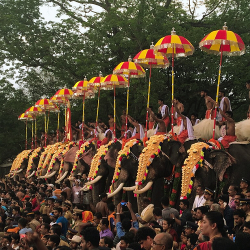 Thrissur Pooram