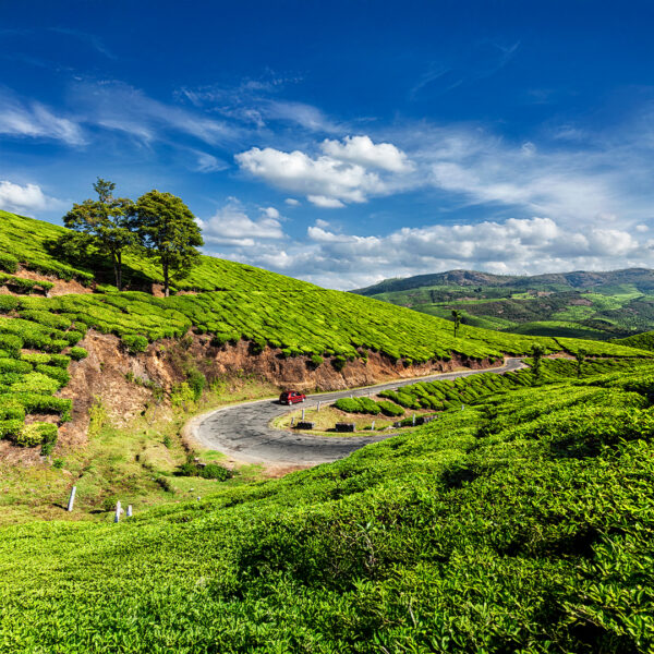 From Kochi to Munnar: Your Scenic Premium Taxi Journey with Tour with Anand
